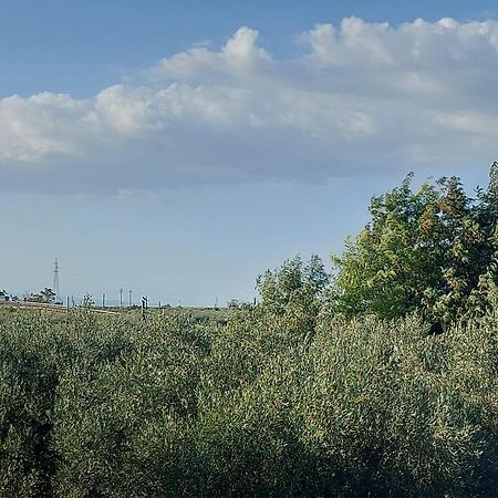 La Villa Del Conte Barletta Exterior foto