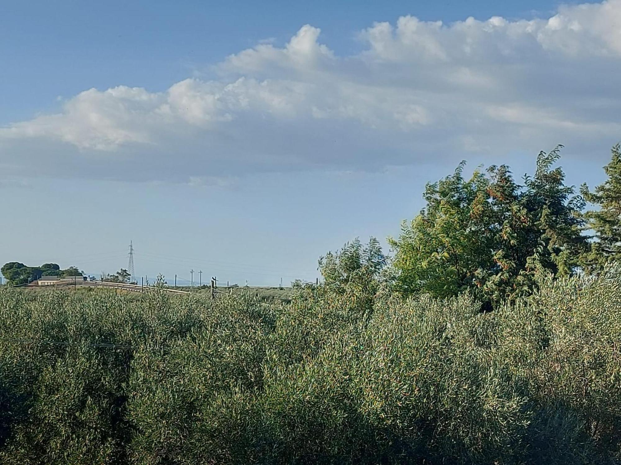 La Villa Del Conte Barletta Exterior foto